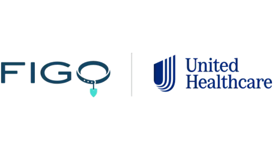 Fuego United Health Care Stephen Schrempp Insurance New Orleans 540x300